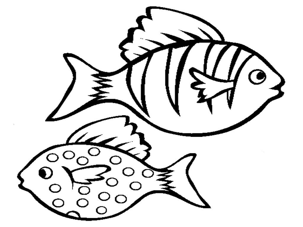 1024x768 Tropical Fish Coloring Pages With Hd Images Page Printable Animals
