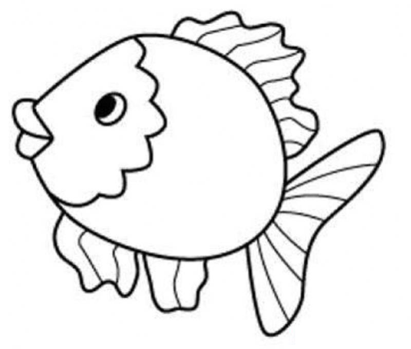 800x680 Coloring Pages. Fish Coloring Pages For Preschoolers