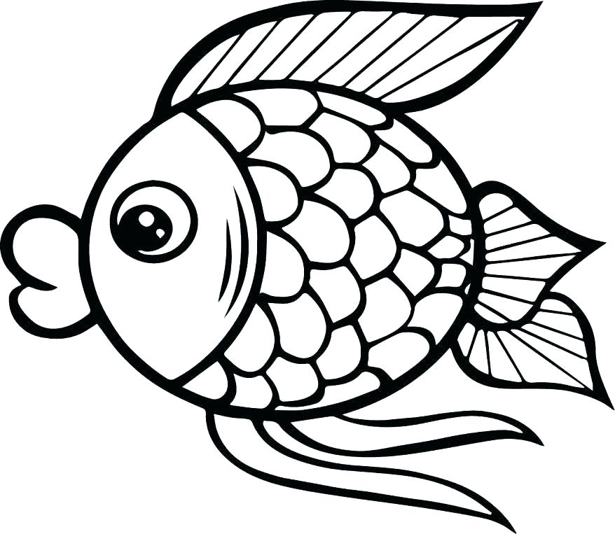 878x763 Fresh Fish Color Pages Or Cartoon Fish Coloring Pages Cartoon Fish