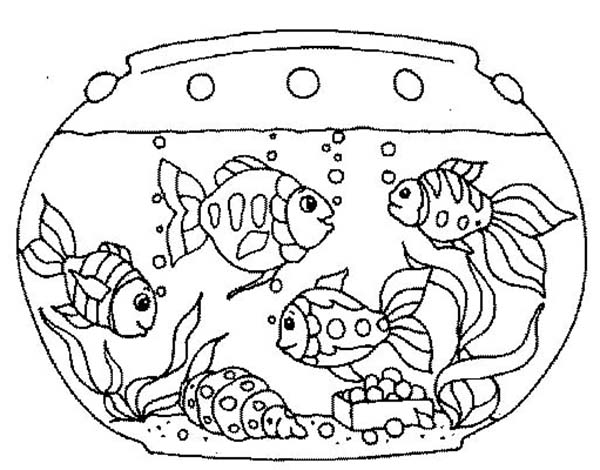 600x470 Goldfish In The Fish Tank Coloring Page