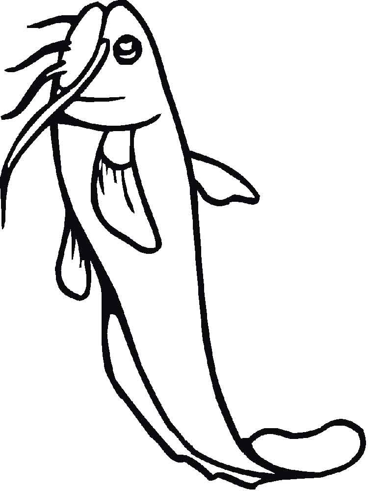 750x1000 Fish Hooks Coloring Pages To Print Inspirational Catfish Coloring
