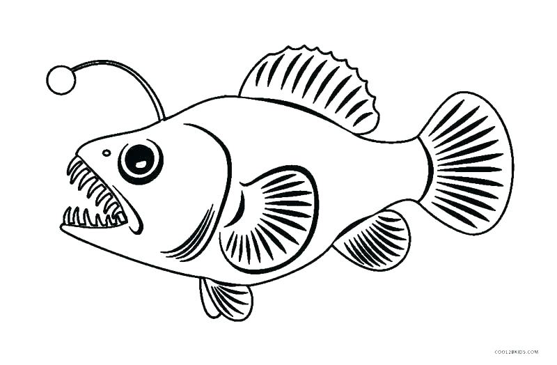 800x524 Fishing Coloring Pages Fishing Target Bass Fish Coloring Pages