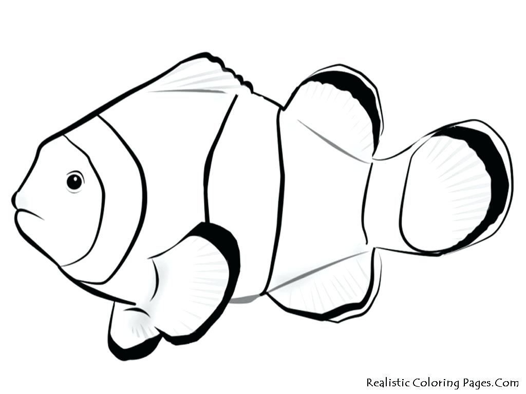 1024x768 Fishing Rod Coloring Pages Tropical Fish Download This Printable