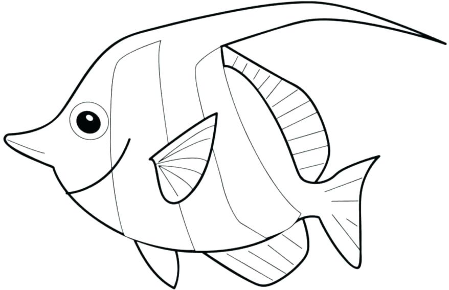 878x567 Fish Color Page Coloring Fish Pages Cartoon Fish Coloring Pages