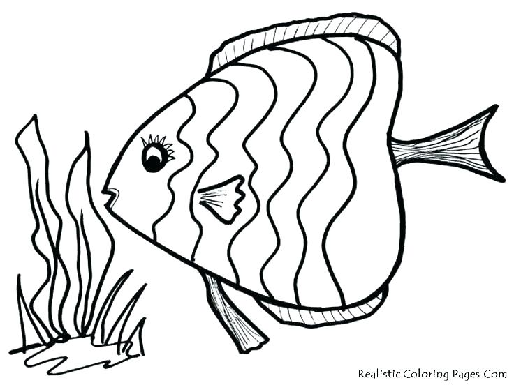 736x552 Coloring Pages Of Fishing Lures Free Fish Coloring Pages Coloring