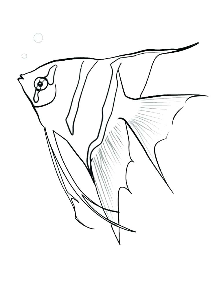 750x1000 Coloring Page Of A Fish Fish Color Pages Angel Fish Coloring Page