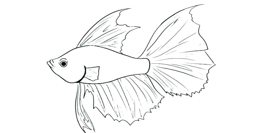 860x450 Coloring Pages Of Fish Fishing Pole Coloring Page Coloring Pages