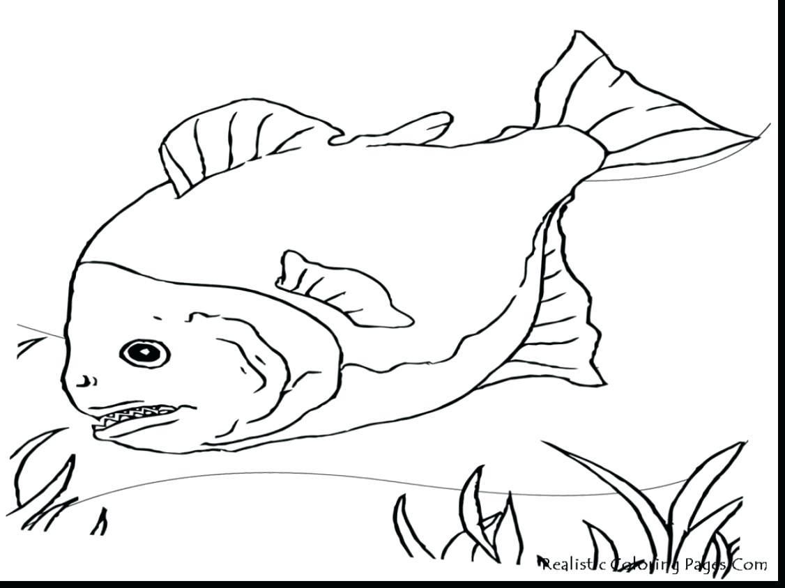 1126x844 Coloring Pages Thanksgiving Free Fly Fishing Rod Reel Bag Stock