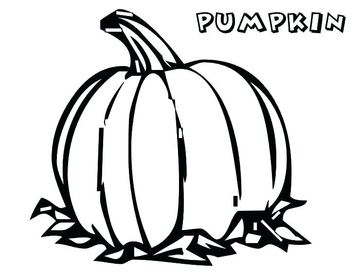 736x568 Coloring Pages Of Pumpkins Free Pumpkin Coloring Pages Pumpkin