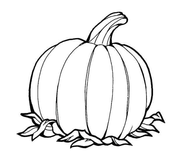 600x545 Pumpkins Coloring Pages Pumpkin Coloring Pages Free Pumpkin