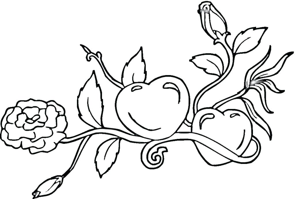 1024x692 Flames Coloring Pages Flame Coloring Page Fire Hydrant Coloring