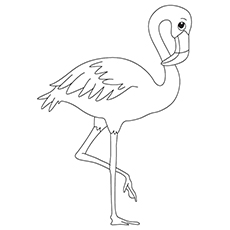 230x230 Top 10 Flamingo Coloring Pages For Toddlers