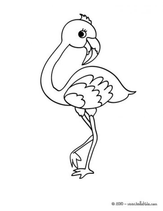 563x730 Cute Baby Flamingo Coloring Page For Kids Animal Coloring Pages