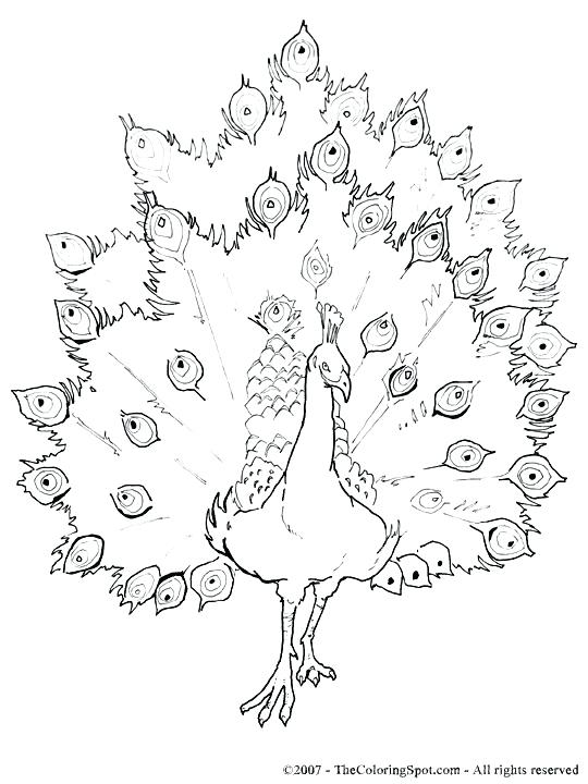 540x720 Flashlight Colouring Pages As Well As Flashlight 831