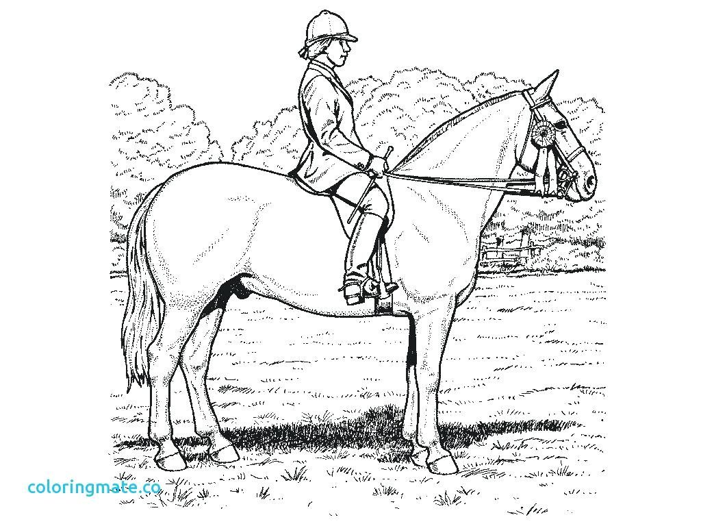 1024x768 Coloring Page ~ Flat Stanley Coloring Page Realistic Horse Pages