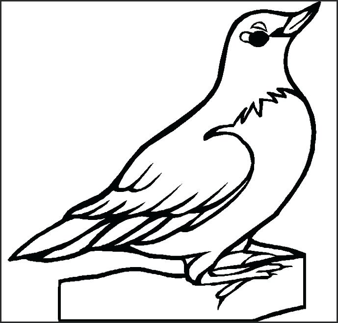 689x658 Flat Stanley Coloring Page Murs