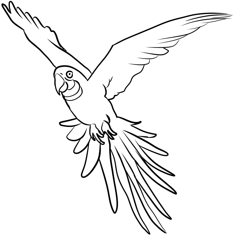 Flight Coloring Pages