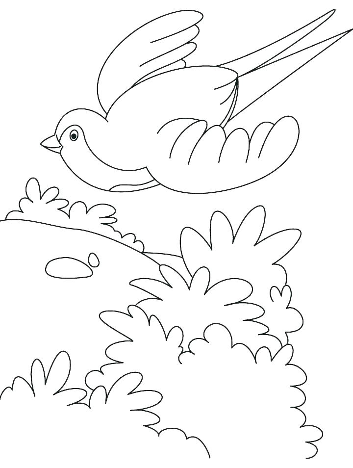 720x954 Bird Flying Coloring Page Bird In Flight Coloring Page