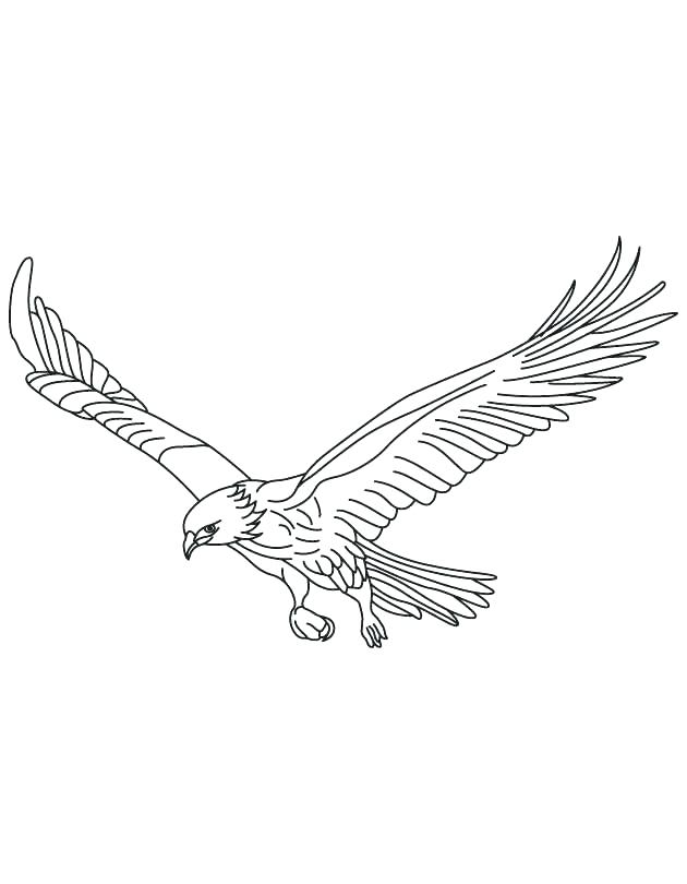 630x810 Outstanding Coloring Pages Birds Remarkable Coloring Pages