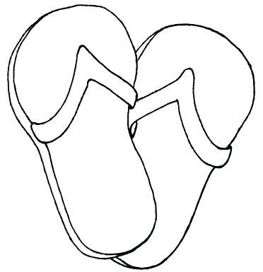 372x385 Coloring Pages Of Flip Flop Print Color Craft Flip Flop Coloring