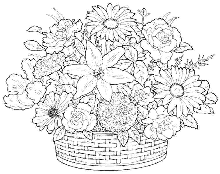 757x600 Flower Color Pages Free