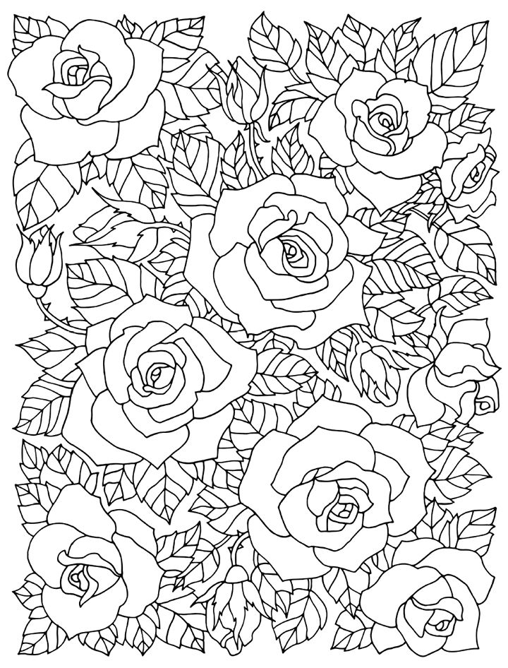 720x946 460 Best Floral Coloring Pages For Adults Images