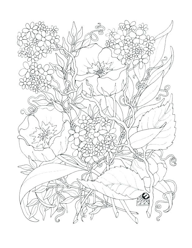 618x800 Printable Flower Coloring Pages For Adults Coloring Book Pages