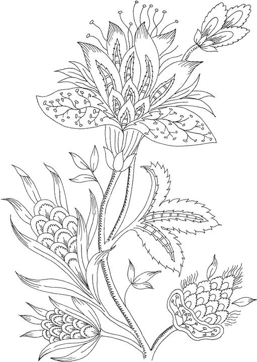 511x720 53 Coloring Pages Of A Flower, Flowers Print Colouring Pages