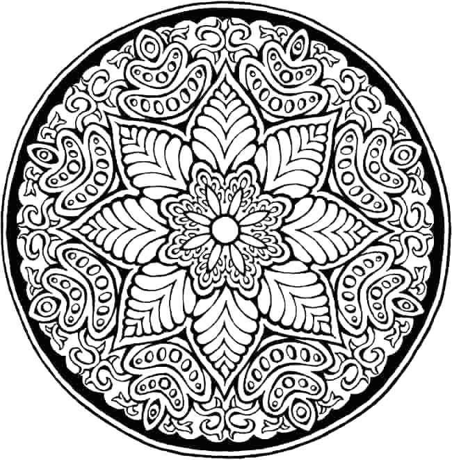 650x662 Flower Mandalas Coloring Book By Thaneeya Mcardle Thaneeyacom