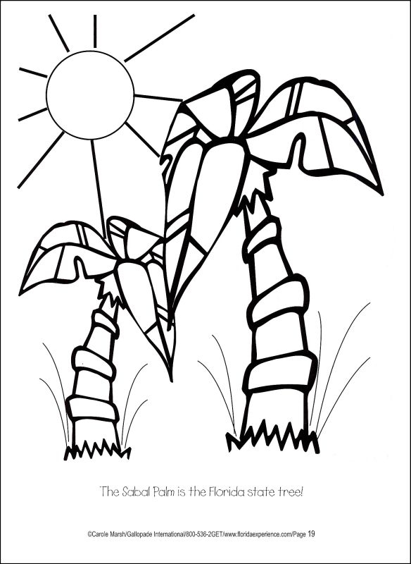 Florida Coloring Page