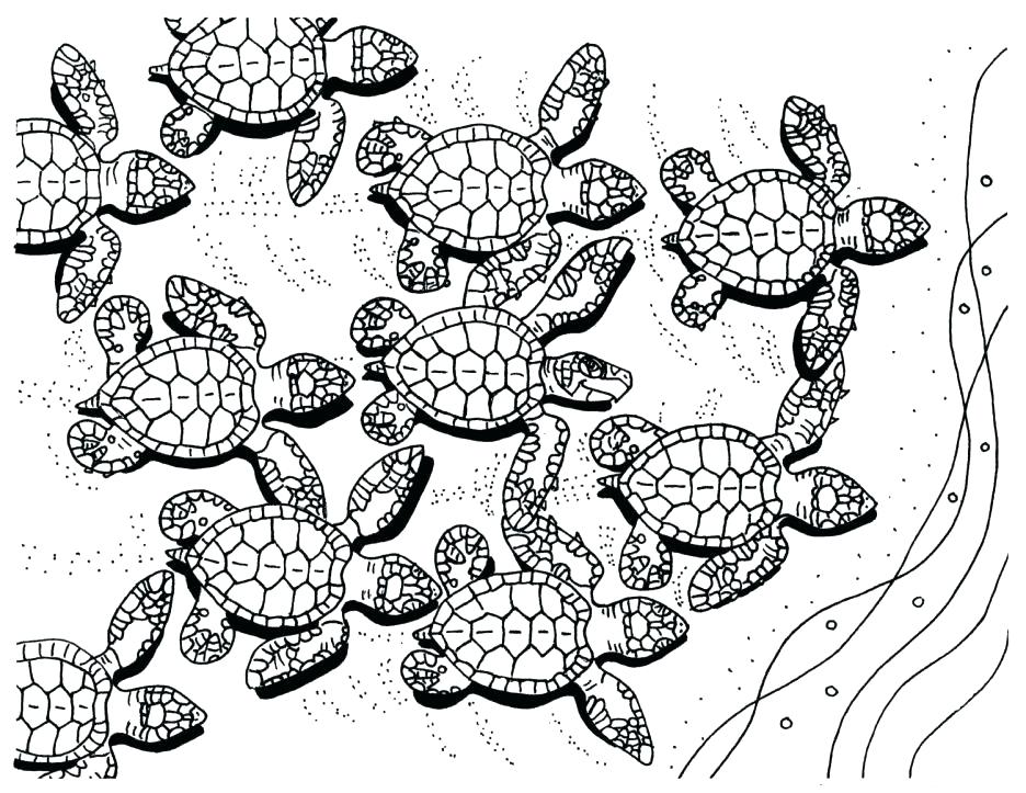 936x723 Florida Coloring Page State Stamp Coloring Page Florida Gator