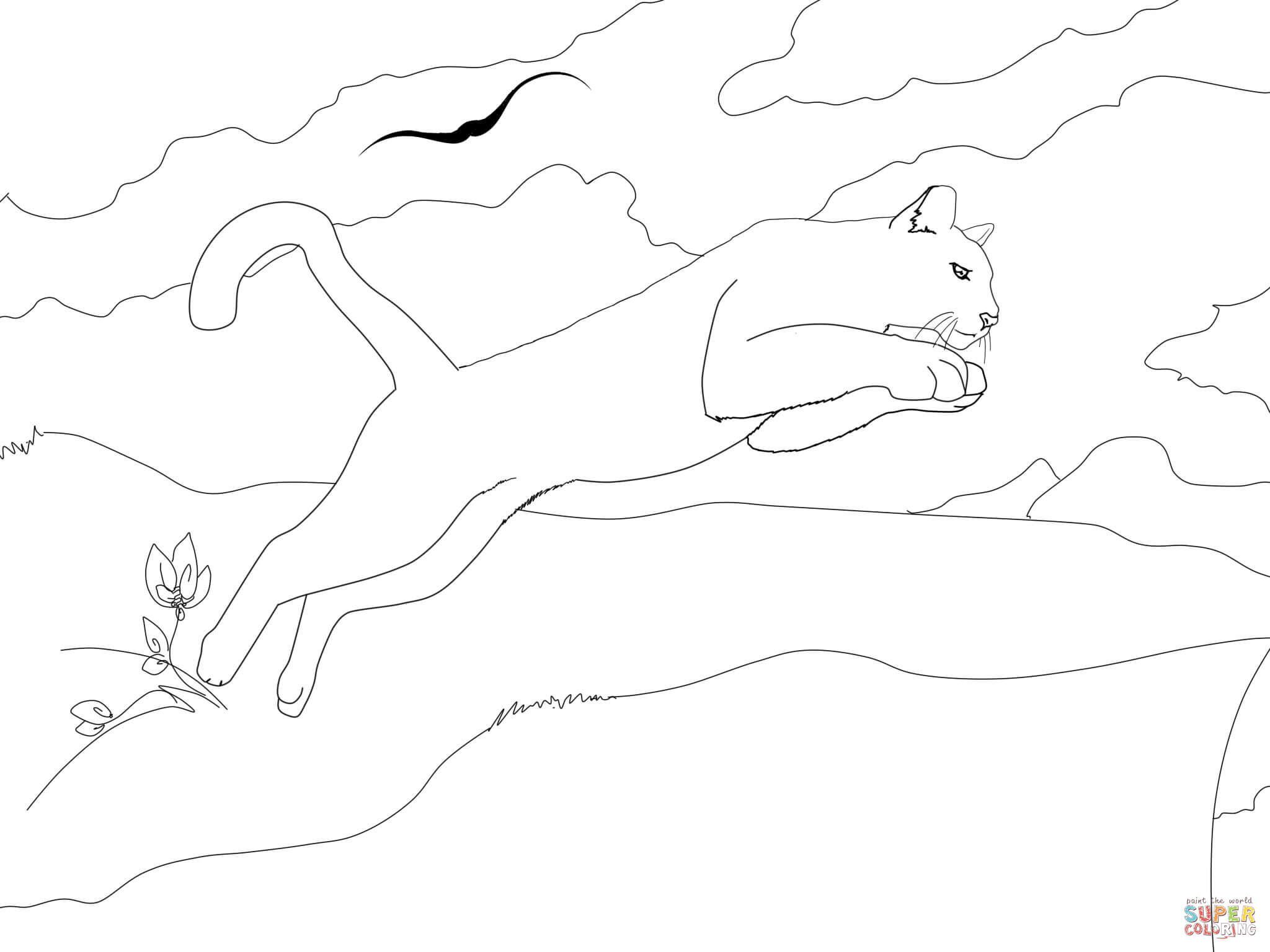 2048x1536 Florida Panthers Coloring Page 473882
