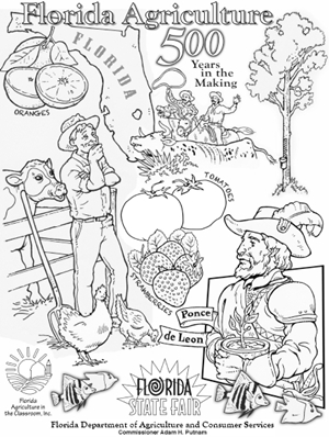 300x398 Fair Coloring Pages