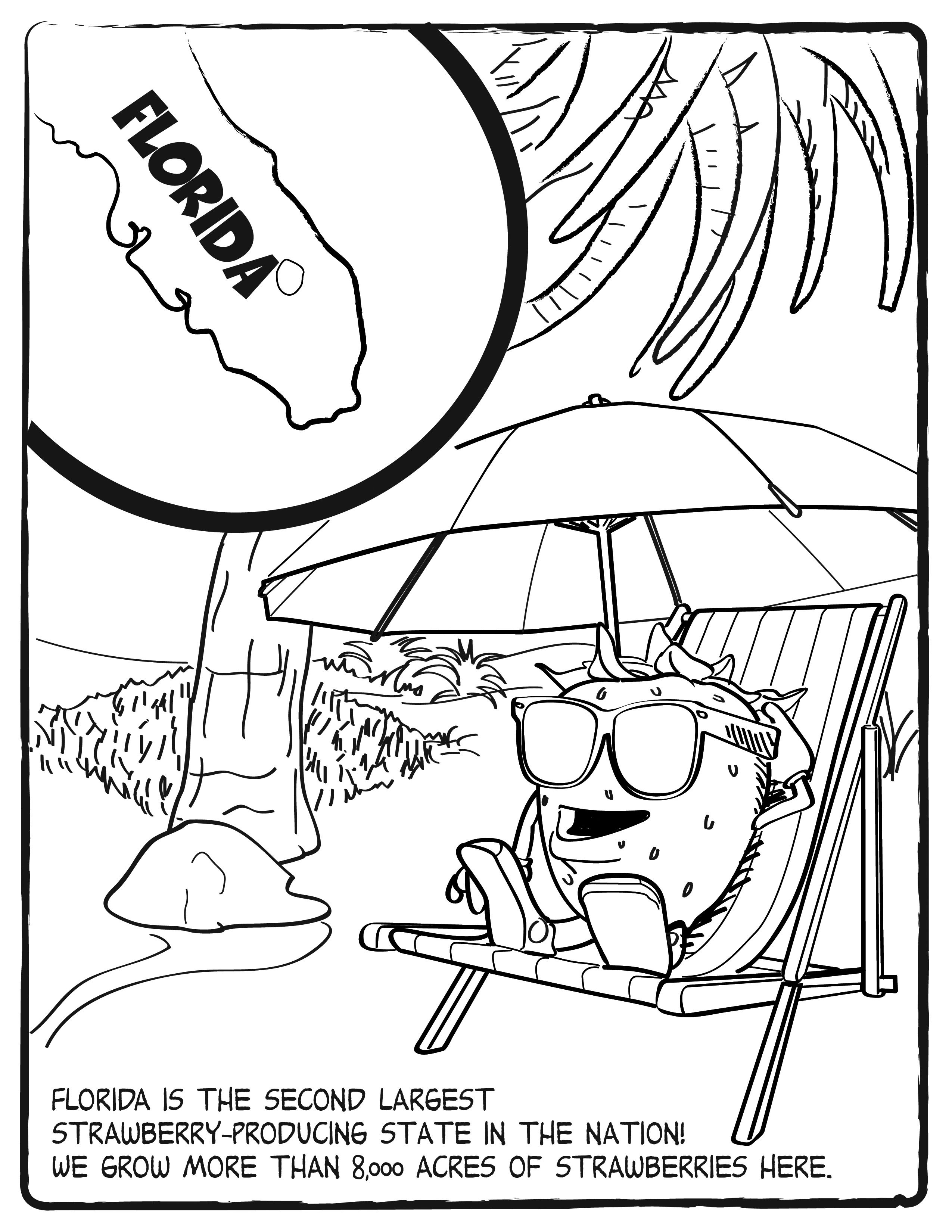 2550x3300 Florida 001 H On Florida Coloring Pages
