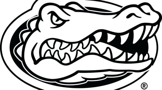 537x300 Florida Gators Coloring Perfect Gator Coloring Pages