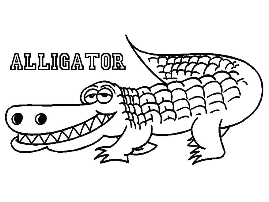 878x659 Gator Coloring Pages Gator Coloring Pages Brilliant Alligator