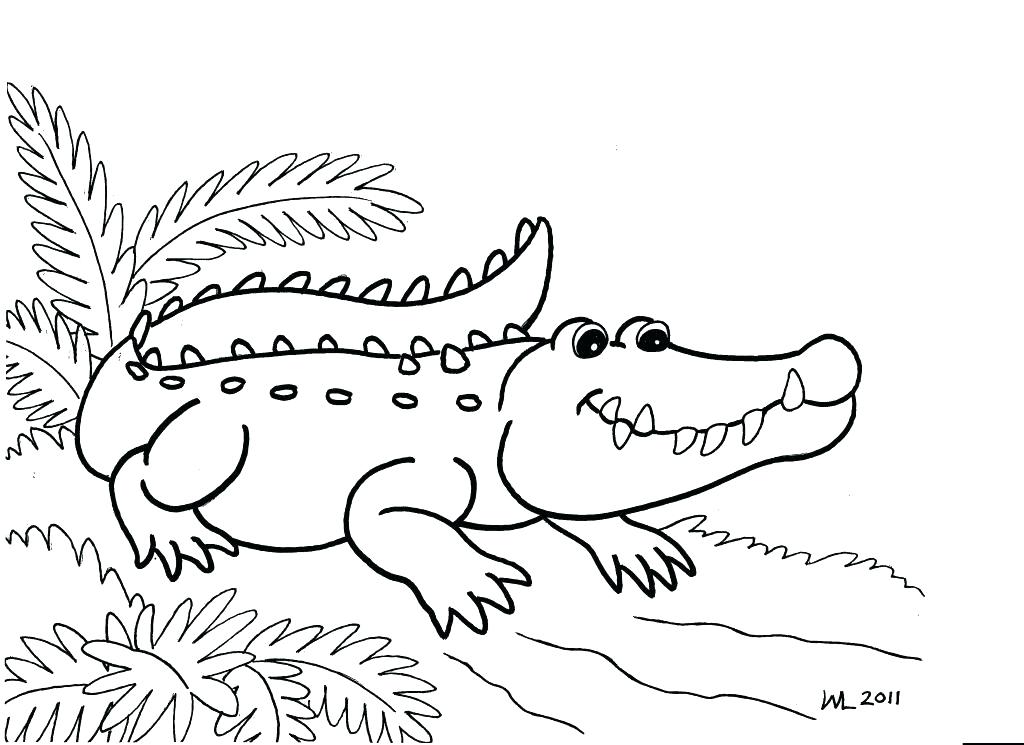 1024x745 Gators Coloring Pages Gator Coloring Pages Realistic Gators