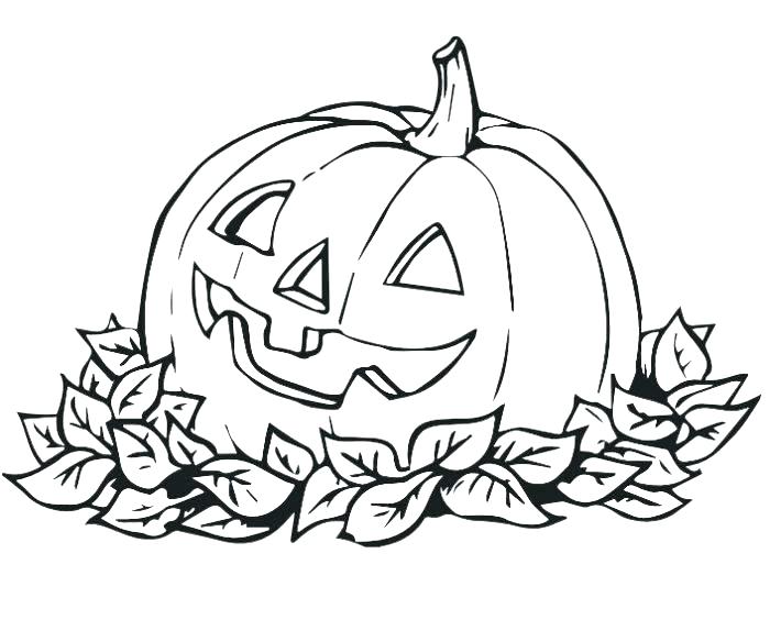 700x564 Florida Gators Coloring Pages Color Gator Mascot Florida Gator