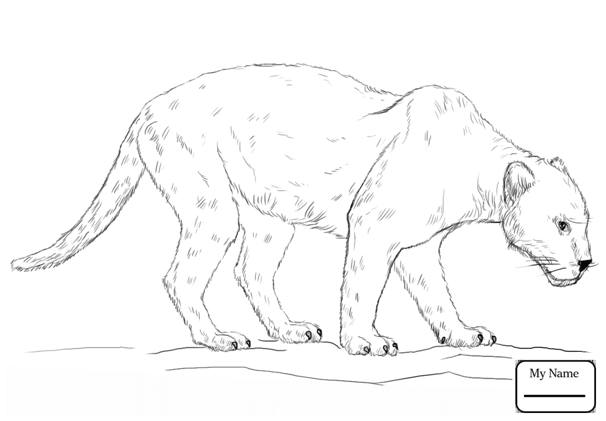 1210x840 Panther Coloring Pages 19 With Panther Coloring Pages
