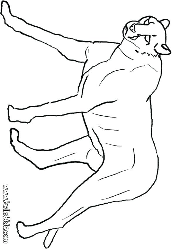 586x850 Panther Coloring Pages Florida Panthers Logo Coloring Pages