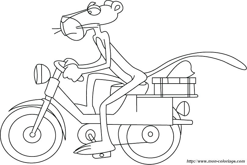 808x541 Panther Coloring Pages Index Coloring Pages Florida Panther