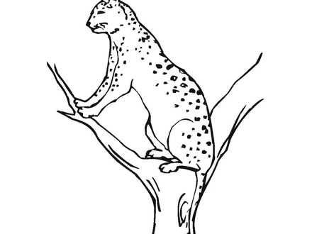 440x330 46 Florida Coloring Pages, Florida Panthers Coloring Page Coloring