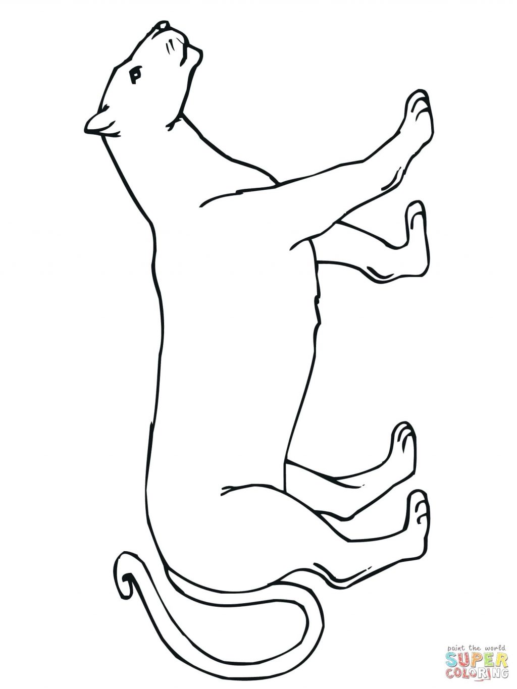 1024x1365 Coloring Page ~ Panther Coloring Pages Walking Mountain Lion