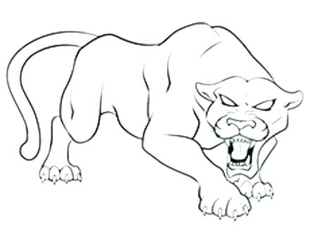 440x330 Florida Panther Coloring Page