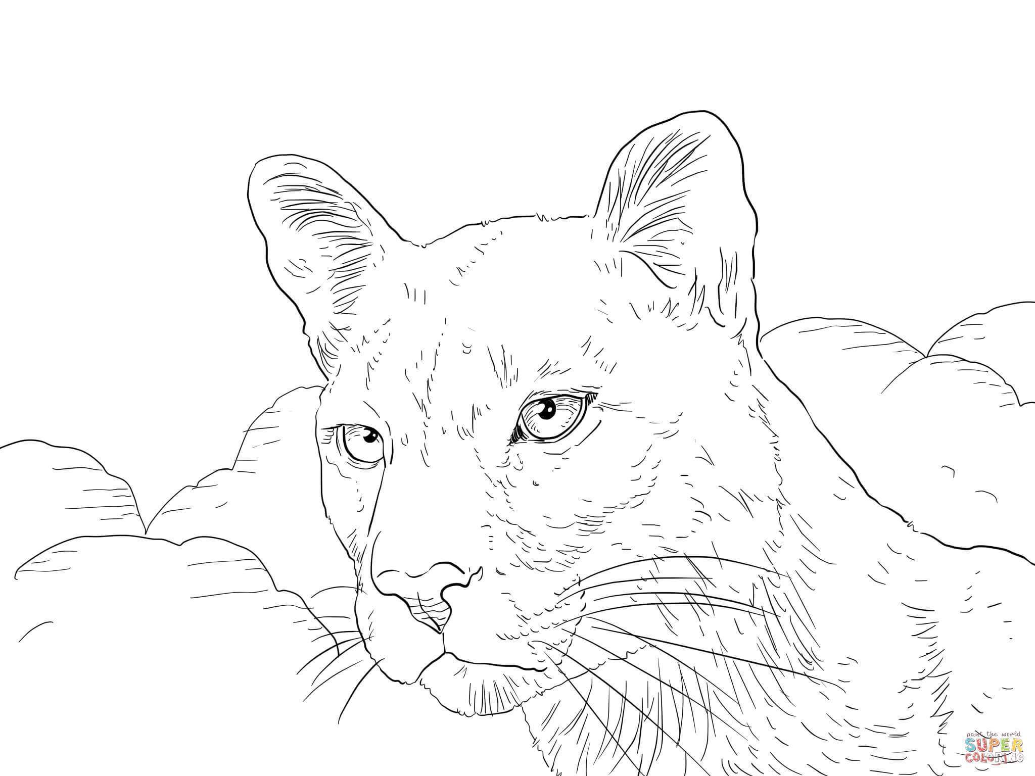 2048x1536 Best Florida Panthers Logo Coloring Page Printable Picture