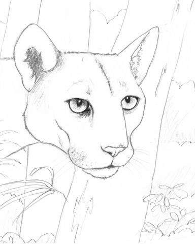 384x480 Coloring Book Download Pdf Link Of Endangered Animals Art Class