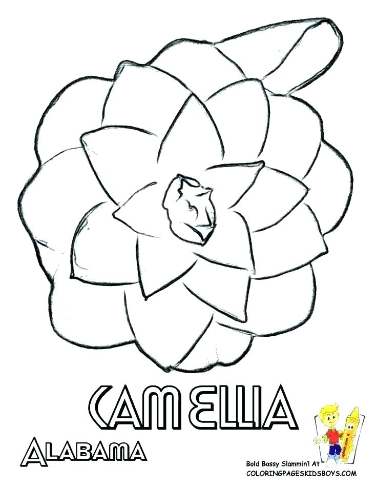 736x952 Florida State Flag Coloring Page Flag Coloring Page State Coloring