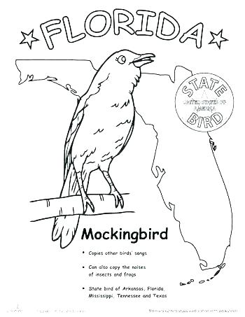 350x453 Florida State Flag Coloring Page Flag Coloring Page State Flag