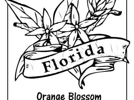 440x330 Florida State Symbols Coloring Pages Seal Etc Florida State