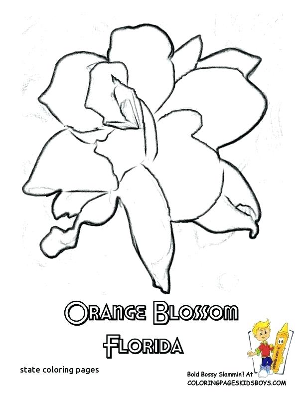 612x792 Florida State Coloring Pages